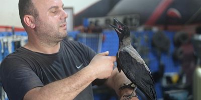 Bursa'da dikkat çeken dostluk