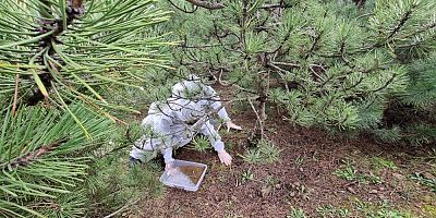 Bursa'da doğanın sessiz kahramanları görev başında