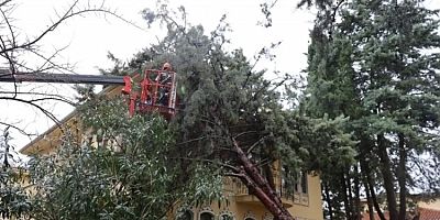 Bursa'da ekipler, şiddetli rüzgara karşı sahada