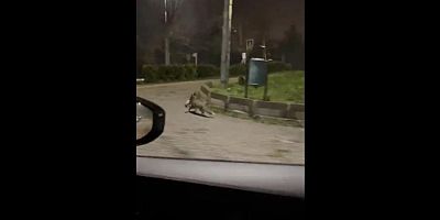 Bursa'da endişe veren görüntü