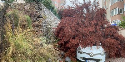 Bursa’da fırtına ağacı devirdi, otomobil altında kaldı