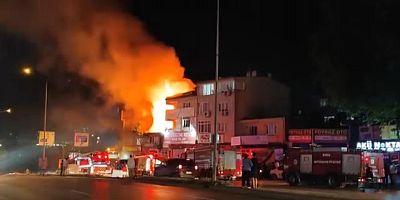 Bursa'da gece yarısı alevler yükseldi