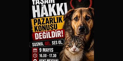 Bursa’da hayvanlar için sokağa çıkıyorlar