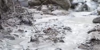 Bursa'da insan sağlığını ve tarımı tehdit altında bıraktılar!