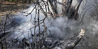 Bursa'da itfaiye yine hızır gibi yetişti!