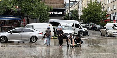 Bursa’da karpuzlar yola saçıldı
