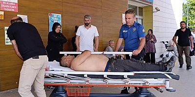 Bursa’da kiraz toplamak için ağaca çıktı, olanlar oldu
