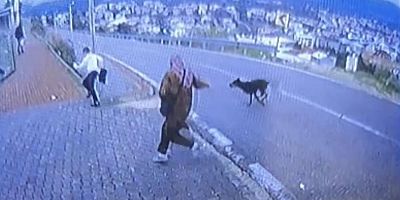 Bursa’da köpekten kaçarken başına bakın neler geldi!
