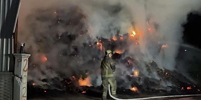 Bursa'da korkutan yangın; Samanlık alev alev yandı