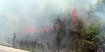 Bursa’da korkutan yangın