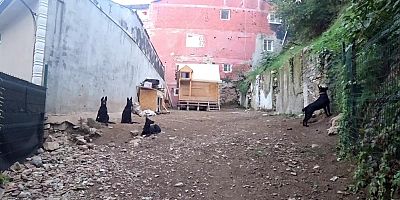 Bursa'da mahalleliyi isyan ettiren olay; Çözüm bekliyorlar...