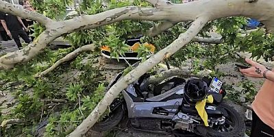 Bursa’da motosiklet sürücüsü yaşam mücadelesi veriyor