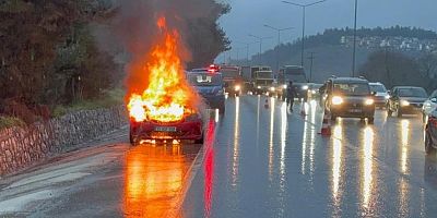 Bursa'da Mudanya Yolu'nda tedirgin eden olay!