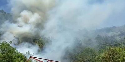 Bursa'da ormanlık alanda yangın! Çok sayıda ekip sevk edildi...