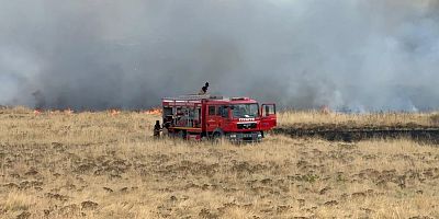 Bursa'da otluk alanda yangın paniği