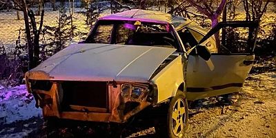 Bursa'da otomobil tarlaya uçtu! 