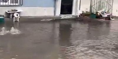 Bursa’da pazar yerleri ve sokaklar bakın ne hale geldi