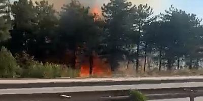 Bursa'da sabah saatlerinde iki orman yangını!