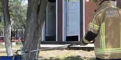 Bursa’da sarı yılan paniği