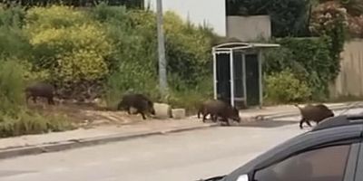 Bursa'da şehir merkezinde şok görüntü!