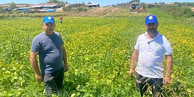 Bursa'da şeker fasulye yüzleri güldürdü