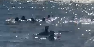 Bursa'da şok olay; Denize giren baba kız ölümden döndü!