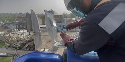 Bursa'da sokak lambaları kuşlara yuva oldu