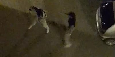 Bursa'da sokak ortasında yumruklar konuştu!