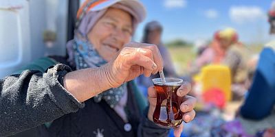 Bursa'da tarım işçilerinin vazgeçilmezi olan çay!
