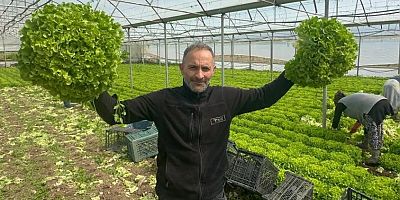 Bursa’da tarlada 30 pazarda 80 lira!