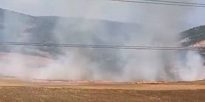 Bursa'da tarlalık alanı ateşe veren şüpheli yakalandı