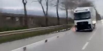 Bursa'da tır kabusu; Olay yerinde kaçtı...