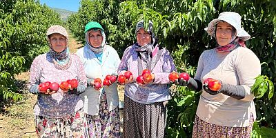 Bursa'da üreticiler isyan ediyor; Tarlada 10-15 TL, markette 100 TL…