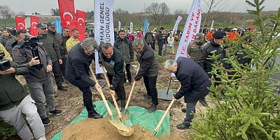 Bursa’da yanan yerler yine yemyeşil olacak!