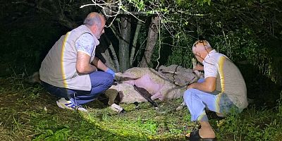 Bursa'da yıldırım küçükbaş hayvan sürüsünü vurdu