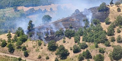 Bursa'daki yangın itfaiye ve vatandaşların müdahalesiyle söndürüldü