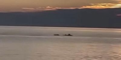 Bursa Gemlik’te kartpostallık görüntü
