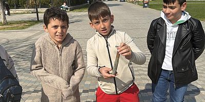 Bursa İznik Gölü kıyısında oynayan çocuklar bakın ne buldu!