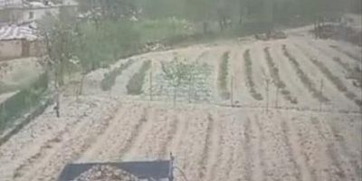 Bursa Keles'e ceviz büyüklüğünde dolu şoku!