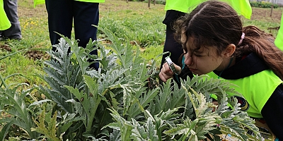 Bursa Nilüfer'de öğrenciler doğayı ve tarımı inceledi