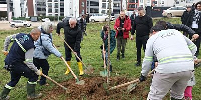 Bursa'nın o mahallesi ağaçlandırılıyor!