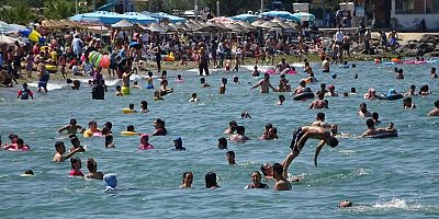 Bursa sahillerinden güzel haber!