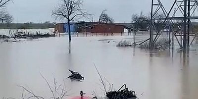 Bursa sular altında kaldı; Tarlalar göle döndü, hayvanlar mahsur kaldı