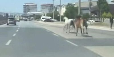 Bursa trafiğinde bu görüntü sürekli yaşanıyor!