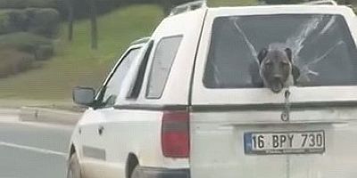 Bursa trafiğinde eğlenceli anlar!