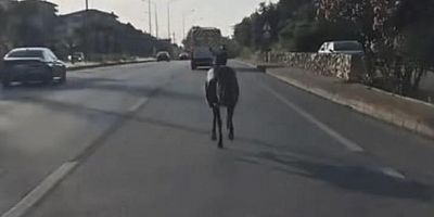 Bursa trafiğinde neler yaşanıyor neler!