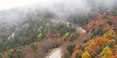 Bursa Uludağ'da sonbahar ayrı bir güzel!