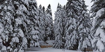 Bursalılar bu habere çok şaşıracak; Uludağ'a kar bekleniyor...