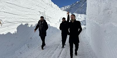 Çığ düştü Van Çatak yolu kapandı