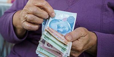 Destek ödemelerinin tamamına zam geldi! Güncel tablo...
